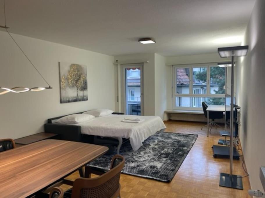 Cozy, Sunny, City Center 1 Bedroom Flat Zurich Luaran gambar